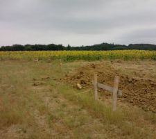 Mise en place des chaises sur le terrain
