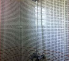 La douche de la petite salle de bains