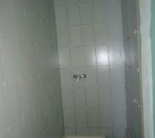 Pose faiences et carrelages salle d'eau chambre parentale RDC