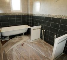 Baignoire en place, montants du plan vasque en place, enduit à faire ...