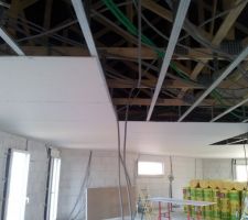 Moitié du plafond réalisée en un jour