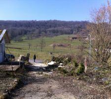 Vue du haut du terrain, les arbres coup&eacute;s