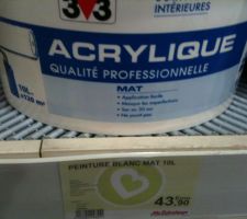 Choix peinture pour plafond