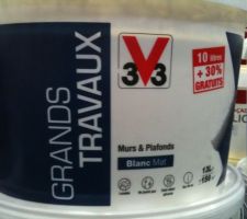 Choix peinture pour plafond