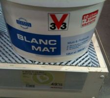 Choix peinture pour plafond