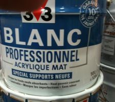 Choix peinture pour plafond