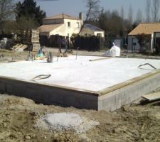 Lisse basse