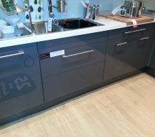 Style de notre future cuisine by IKEA