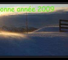 Bonne année