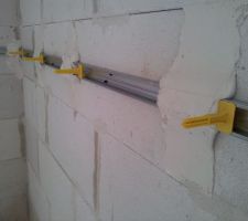 Fourrure collée au mur