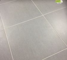 Carrelage pour pi&egrave;ce &agrave; vivre et couleur hors gamme