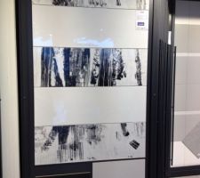 Voici le carellage qu'on aimerais dans la salle de bain en blanc partout avec quelque decor 
Mais je n'ai aucune idee pour les placement des decors
