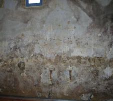 Mur après avoir posé une plaque de platre pdt 3 ou 4 mois