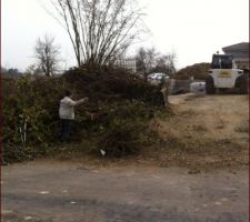 Le tas de branches et le noisetier samedi matin