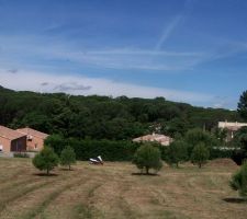 Vue depuis le NEE vers le O