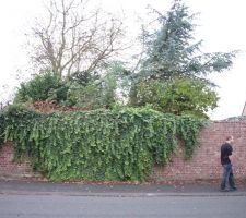 Premiere visite du terrain de gros gros travaux sont &agrave; effectuer !! Plus la viabilisation. On remonte les manches pour une longue aventure.