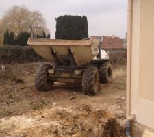 Une des bébêtes qui était dans notre jardin