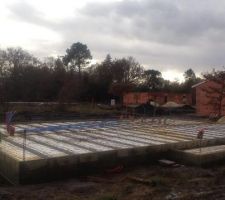 Vide sanitaire fait !!