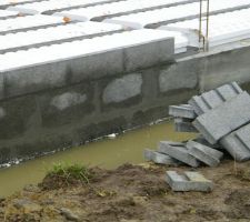 On y va avec des palmes ! pas d'inqui&eacute;tude !