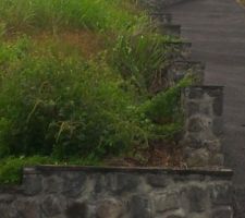 Voici le denivel&eacute;....