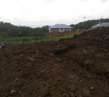 Premi&egrave;re fouille