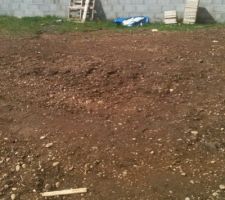Terrain plat
