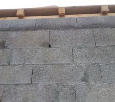 Trous mur
