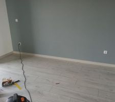 Parquet rdc coloris guerande