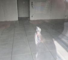 Salon vu de l'ext&eacute;rieur