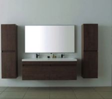 Restons dans la salle d'eau avec le meuble de salle de bain : c'est exactement celui-ci double vasques avec son miroir sauf que faute de place nous n'avons pas prit les deux colonnes.
