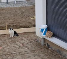 Les chats (memes pas les notres!) semblent déjà approuvées la terrasse en tout cas!