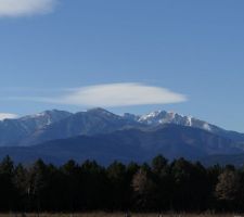 Vue du terrain! notre superbe canigououou!!!