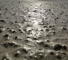 Une image prise par la sonde martienne Curiosity ?
Non, juste la surface de notre dalle du RDC.