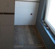 Entr&eacute;e de la douche