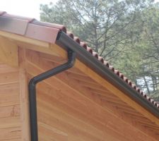 Mise en place des goutti&egrave;res