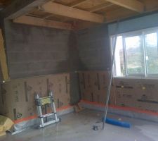 D&eacute;g&acirc;t des eaux dans le salon