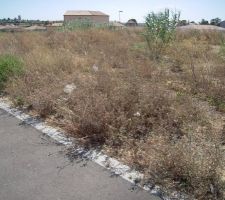 Vant debroussaillage