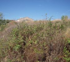 Cote servitude eaux pluviales