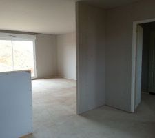 Salon/Salle à manger vue de la cuisine