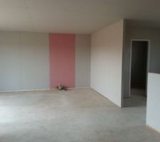 Salon/salle à manger