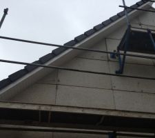 Cache moineaux pvc blanc