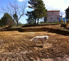 Le plateau est fait, avec l'inspection de "Surya" !
