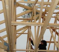 Dressage du bouquet de gui.