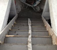 L'escalier du garage, avec le passage d'un minet...