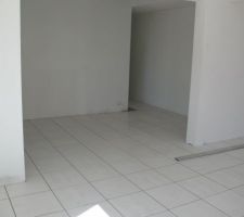 Entr&eacute;e prise du salon