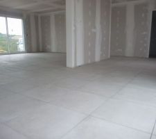 Carrelage avec joints couleur apr&egrave;s s&eacute;chage