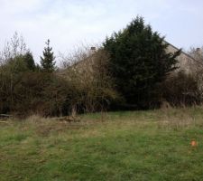 Le fameux terrain, en pente !