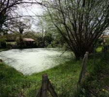 La mare aux bouillons, qui longe le terrain