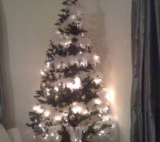 Mon sapin