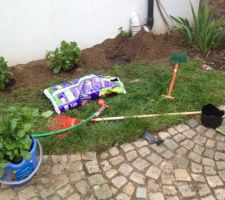 Atelier plantation des hortensias